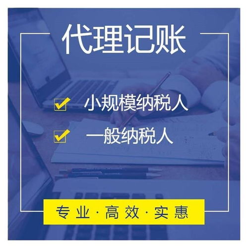 上海普陀区专业营业执照代办 财税代理价格优惠