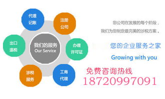 会计 会计的分类