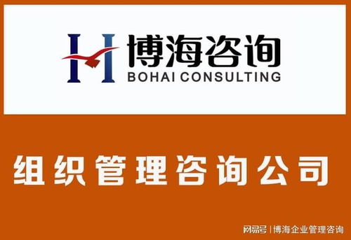 苏州组织结构优化咨询公司