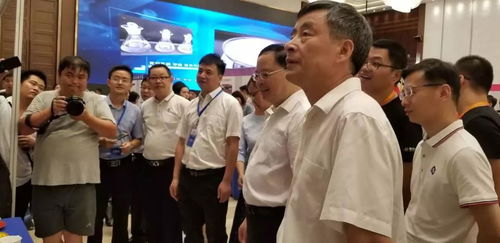 助力湖南中小企业发展，湖南新星管理咨询争创行业标杆