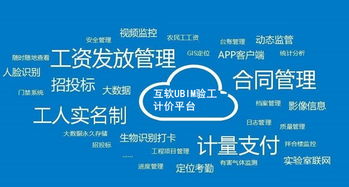 上海互联网软件集团 高端协同管理软件与企业管理咨询服务提供商